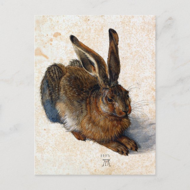 Albrecht Dürer Young Hare Postkarte (Vorderseite)