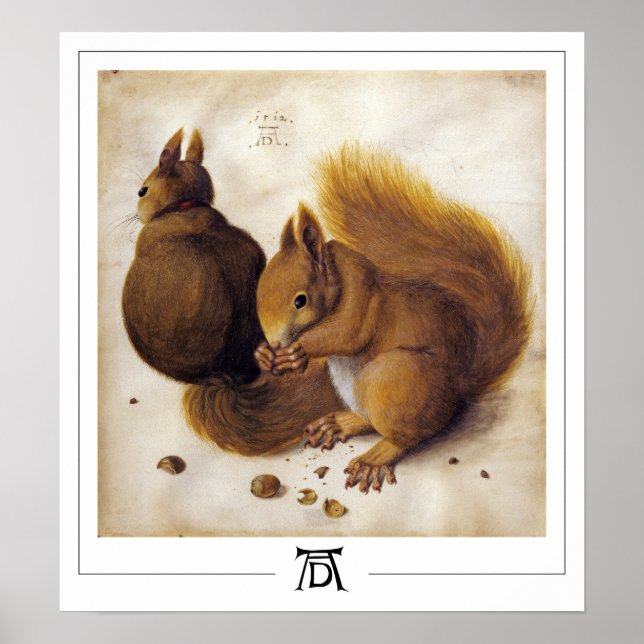 Albrecht Dürer Zedign Art Poster #56 (Vorne)