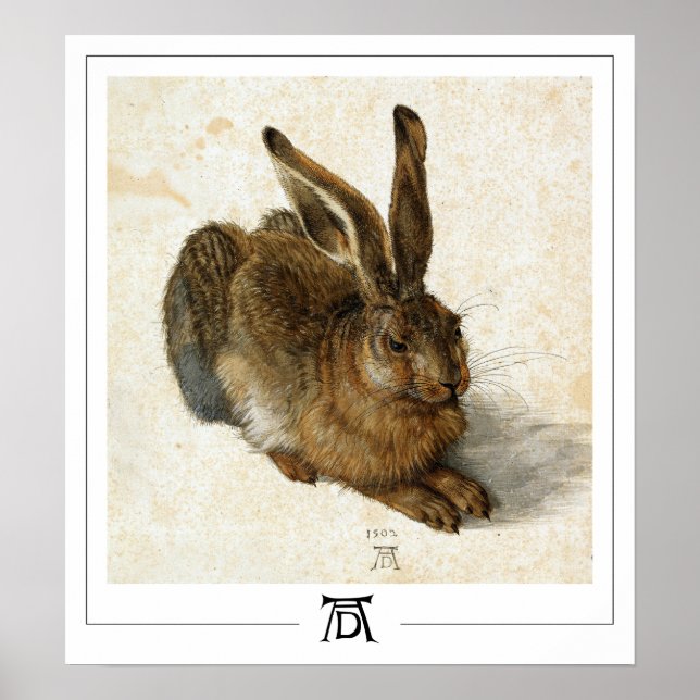 Albrecht Dürer Zedign Art Poster #6 (Vorne)