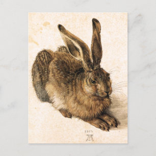 Albrecht Durong Hare Postcard Postkarte