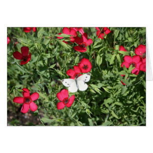 Albtraum