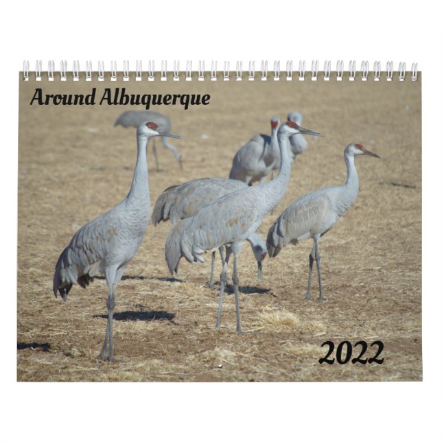 Albuquerque-Kalender Kalender (Titelbild)
