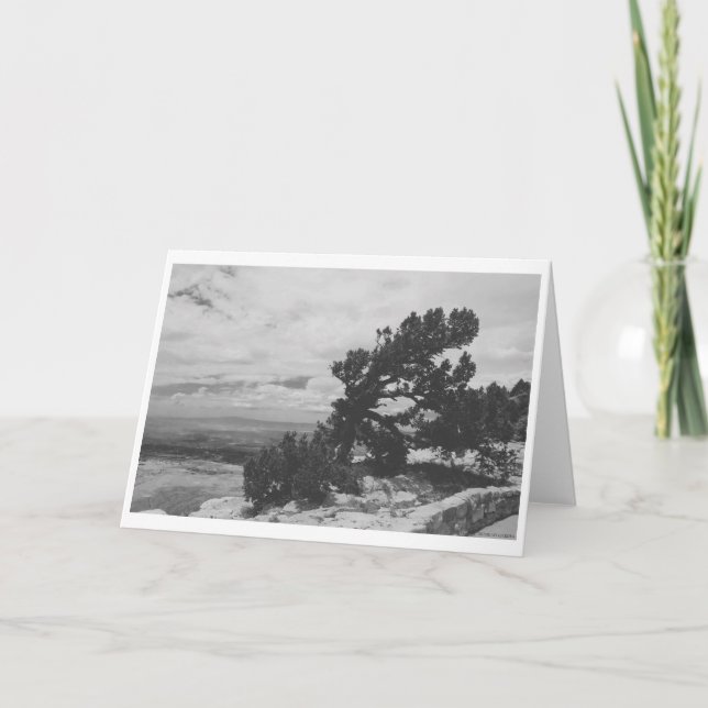 "ALBUQUERQUE LOOKOUT" KARTE (Vorderseite)