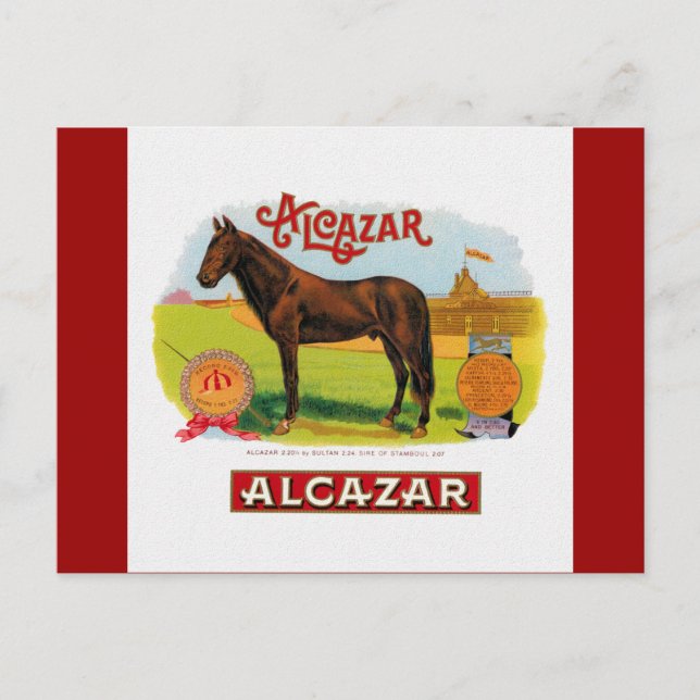 Alcazar das Pferd Postkarte (Vorderseite)