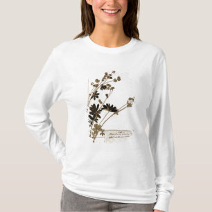 Alchemilla, von einem Herbarium T-Shirt
