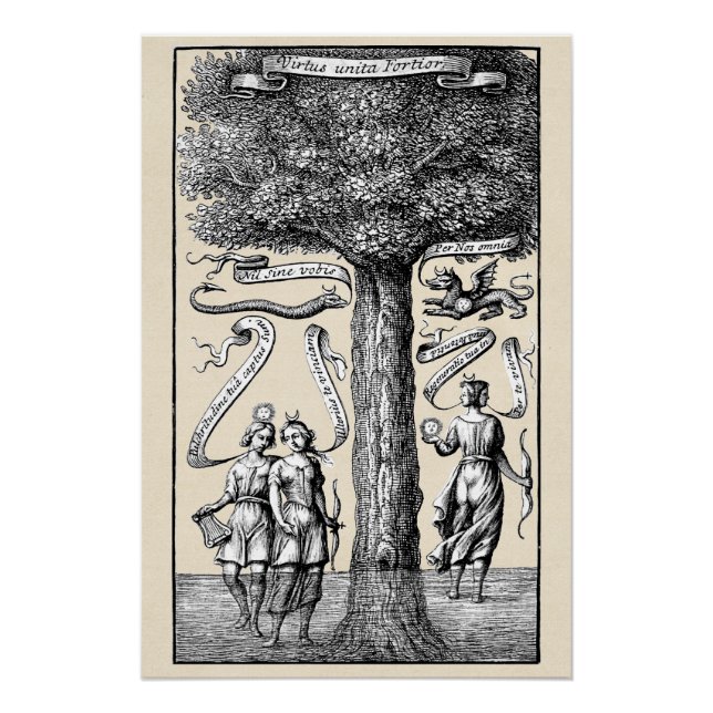 Alchemistische Verbindungen Poster (Vorderseite)