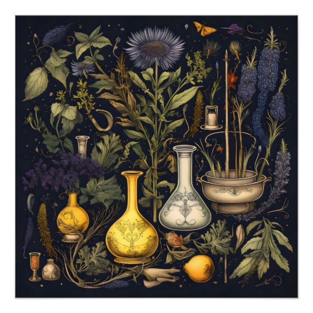 Alchemy Magic Herbs Fotodruck (Vorne)