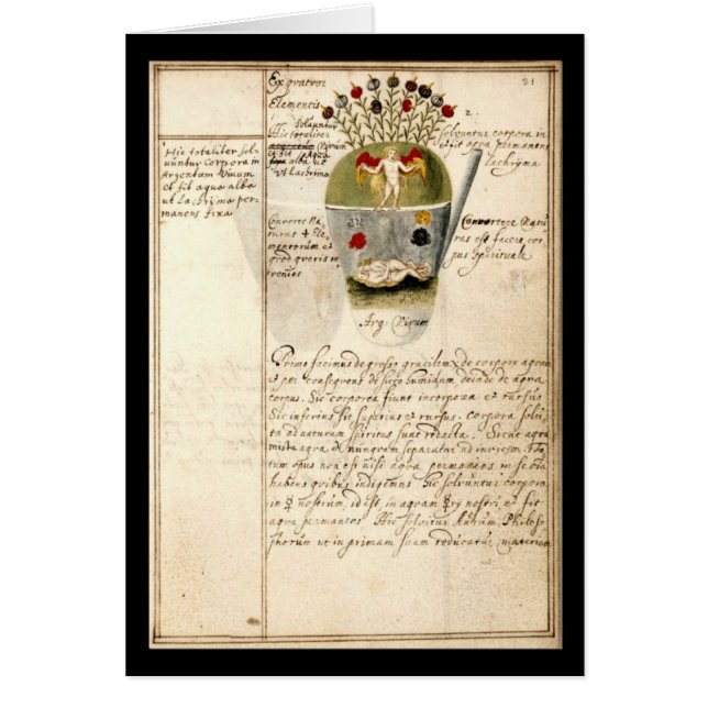 Alchimie-Notizbuch durch Platte 8 Johann Grasshoff (Vorne)