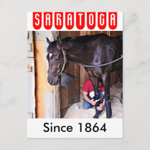 Alcolite-Pferde-Haven-Barns in Saratoga Postkarte