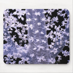 Alcyonarian Koralle (Dendronephthya SP.) Mousepad