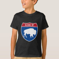 Alden New York Buffalo Ny Autobahn Interstate Schi