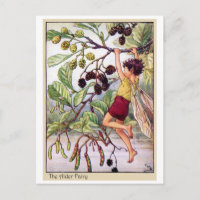 Alder Fairy