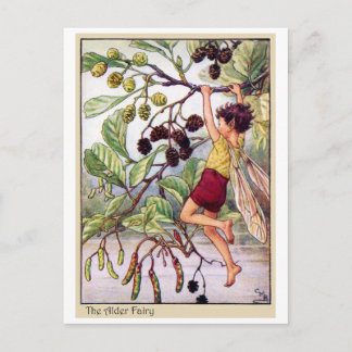 Alder Fairy Postkarte