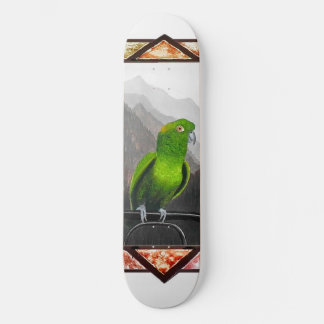 Aldo mein Amazonaspapagei Skateboard