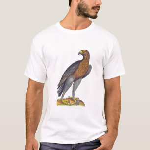 Aldrovandi Raubvogel, Falken oder Eagle T-Shirt
