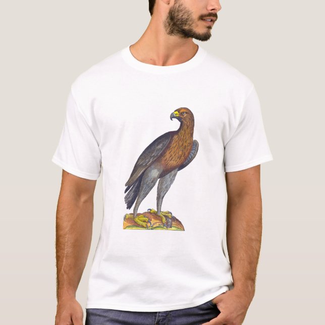 Aldrovandi Raubvogel, Falken oder Eagle T-Shirt (Vorderseite)