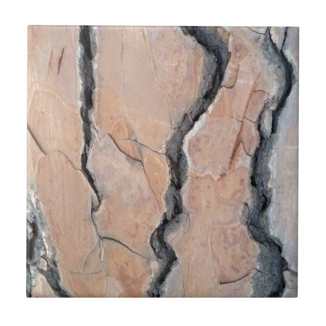 Aleppo Pine Fliese (Vorderseite)