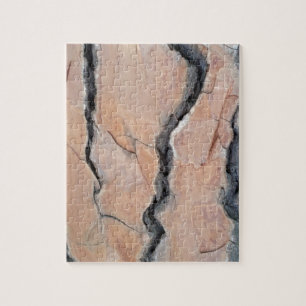 Aleppo Pine Puzzle
