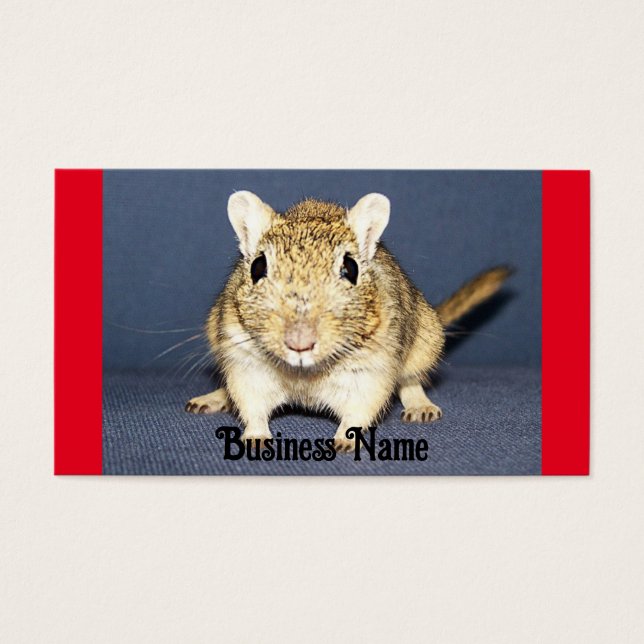 Alert Gerbil Business Card (Vorderseite)
