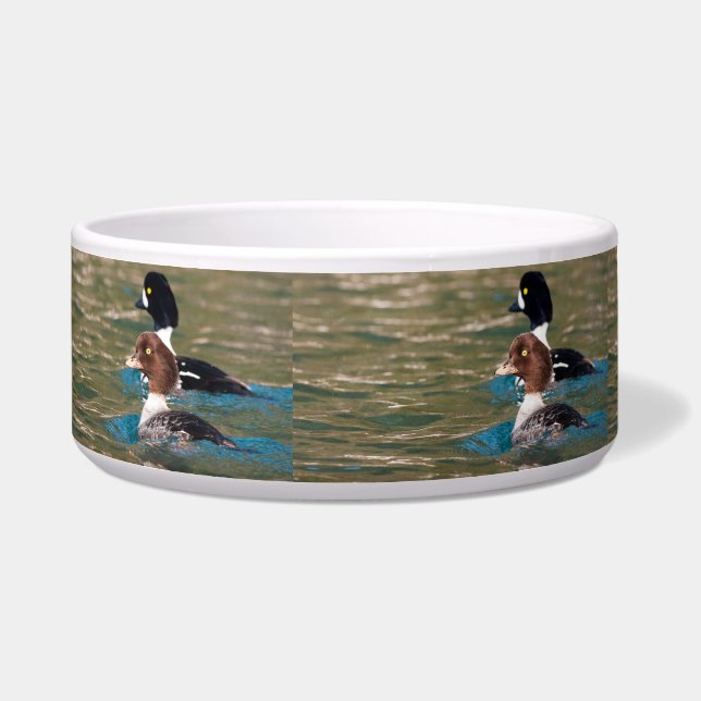 Alert Goldeneye Napf (Links)