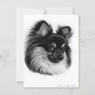 Alert Long Haired Chihuahua Hand Drawn Art Postkarte