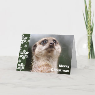 Alert Meerkat Weihnachtskarte Feiertagskarte