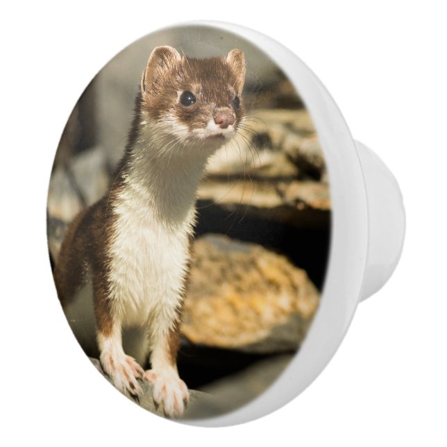 Alert Weasel Keramikknauf (Rechts)