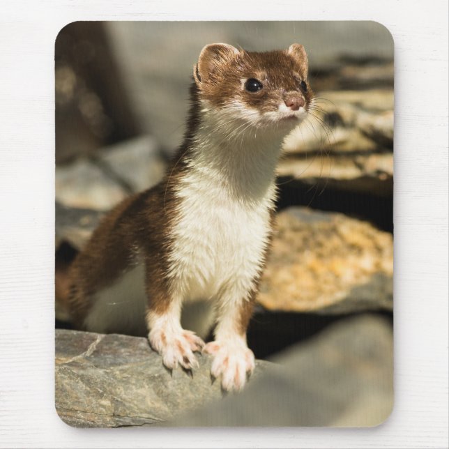 Alert Weasel Mousepad (Vorne)