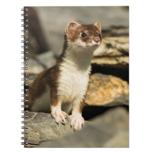 Alert Weasel Notizblock
