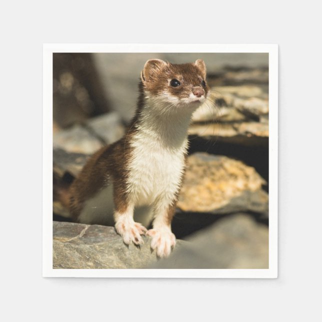 Alert Weasel Serviette (Vorderseite)