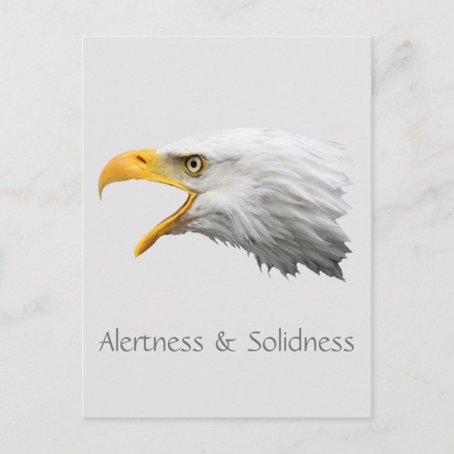Alertness & Solidness von Bald Eagle Postkarte (Vorderseite)