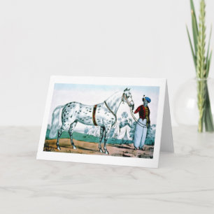 Alexander das Pferd, USA 1840 Feiertagskarte