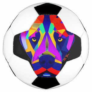 Alexander-Dog-Fußball Fußball