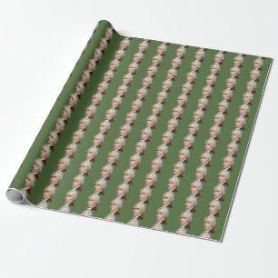 Alexander Hamilton-Packpapier Geschenkpapier