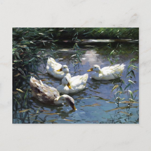 Alexander Koester Four Ducks im Teich Postkarte (Vorderseite)