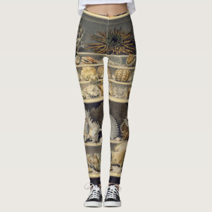Alexandre Isidore Leroy De Barde - Auswahl Leggings