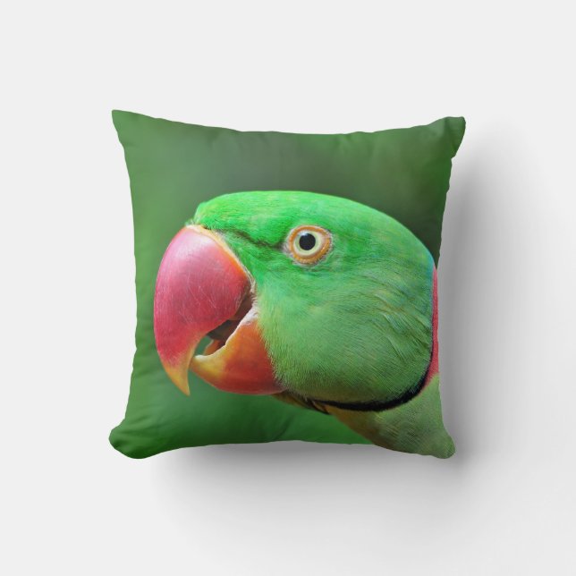 Alexandrine Parakeet Kissen (Vorderseite)