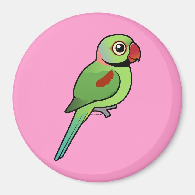 Alexandrine Parakeet Magnet (Vorne)
