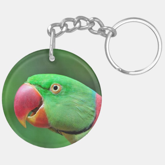 AlexandrineParakeet Schlüsselanhänger (Rückseite komplett)