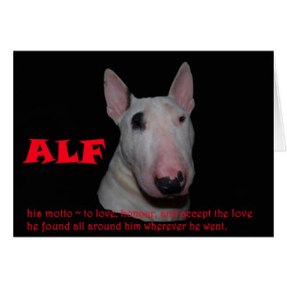 ALF akzeptiert die Liebe