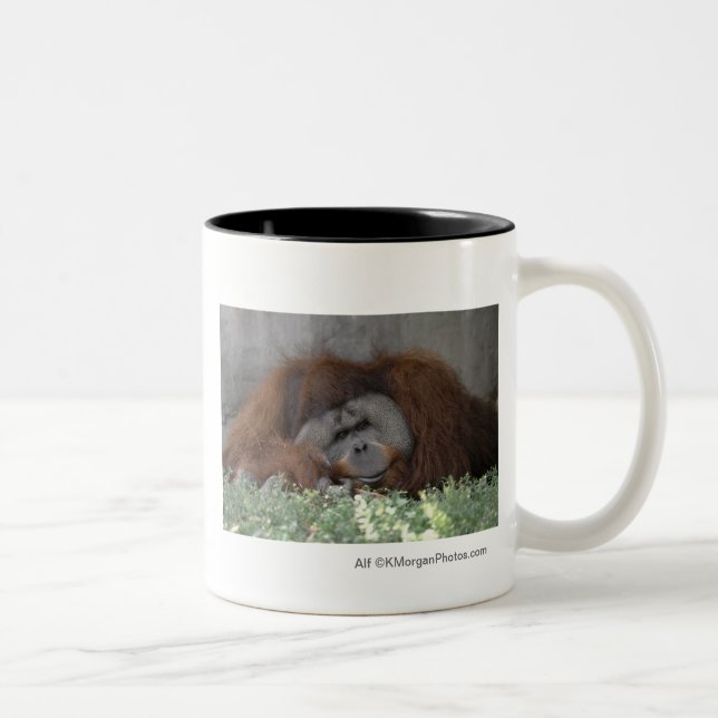 Alf zwei Ton-Kaffee-Tasse Zweifarbige Tasse (Rechts)