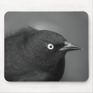 Alfred Hitchcock-Vogel Mousepad