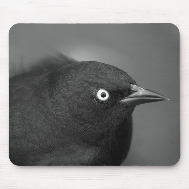 Alfred Hitchcock-Vogel Mousepad (Vorne)