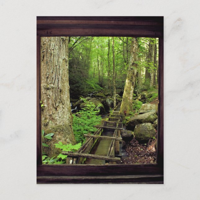 Alfred Reagans Mill Postkarte (Vorderseite)