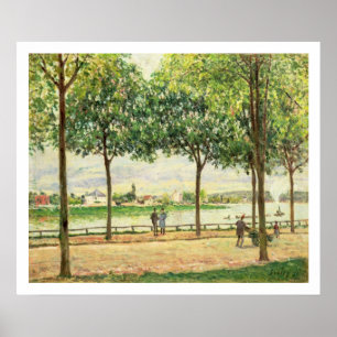 Alfred Sisley Street of Spanish Chestnut Trees Poster