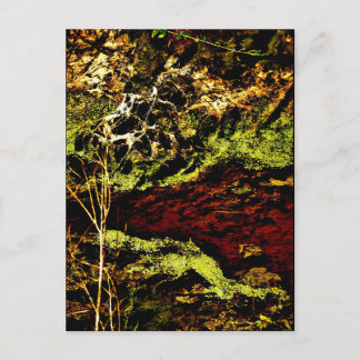 "Algae Canal Fallon" JTG Art Postkarte