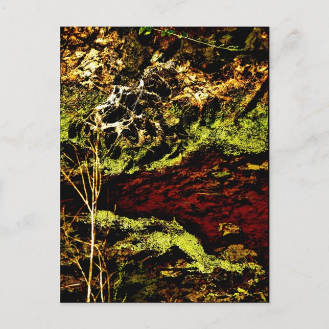 "Algae Canal Fallon" JTG Art Postkarte (Vorderseite)