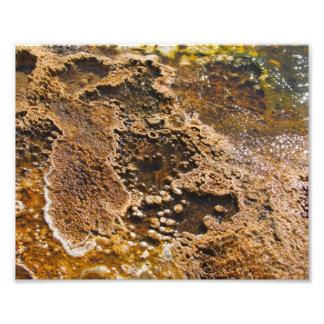 Algea-Pool Fotodruck