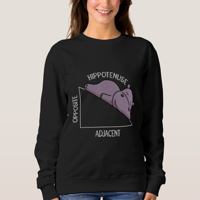 algebra math student math teacher hippotenuse sweatshirt (Vorderseite)