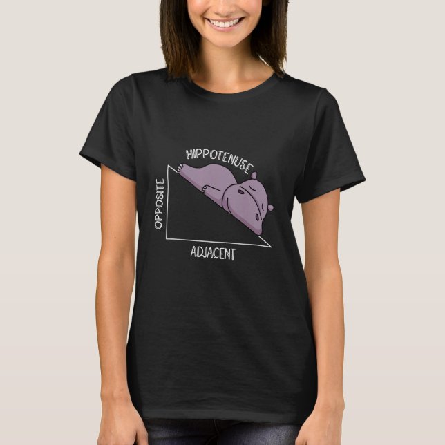 algebra math student math teacher hippotenuse T-Shirt (Vorderseite)